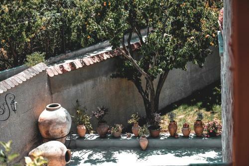 Villa Yerkir Eco House