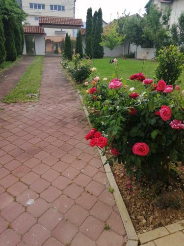 Villa Vila Balota
