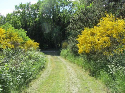 Holiday Home Holmeh�j