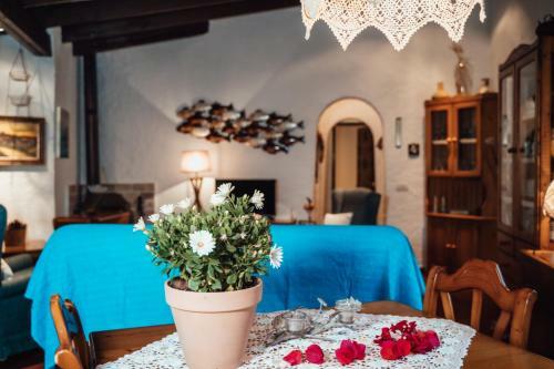 Villa En Cala Morell Con Piscina Privada En El Bosque