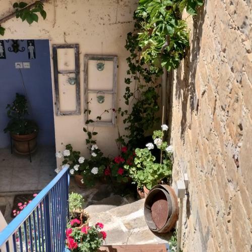 Bed & Breakfast Ble Mavi Studio-adults Only