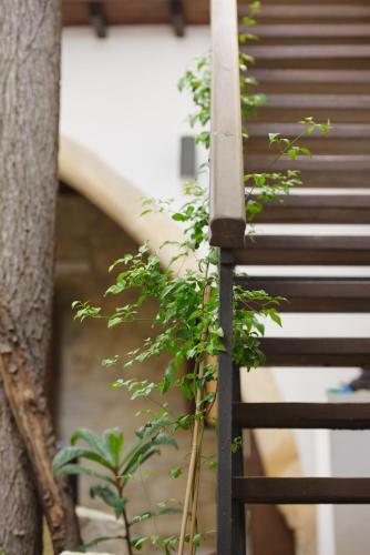 Villa Serenity Boutique House