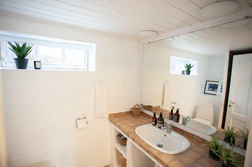 Villa 4 Br House / Downtown / Old Town / Marina