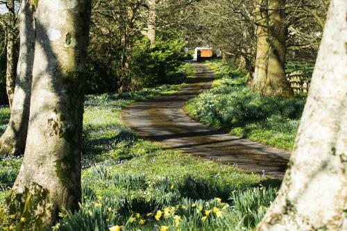 Hostal Elm Grove Country House