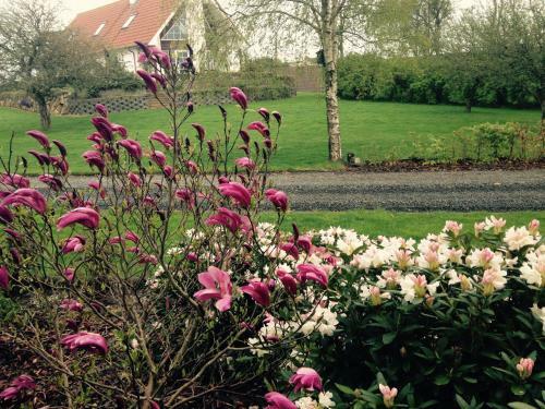 Bed & Breakfast Margretelyst