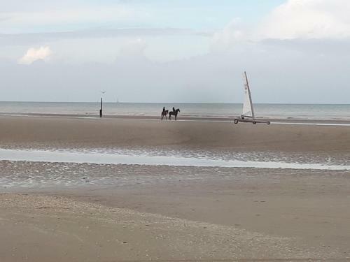 Apartamento de Panne Studio Vue Sur Mer