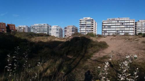 Apartamento Neptunus de Panne