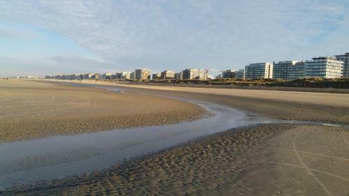 Apartamento Neptunus de Panne