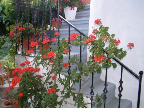 Aerinos House