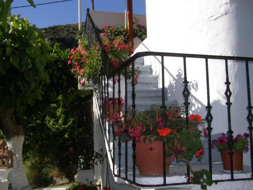 Aerinos House