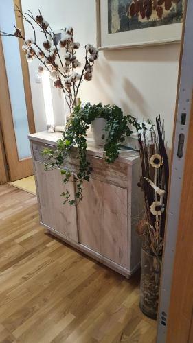 Hostal Peregrina Pension 4