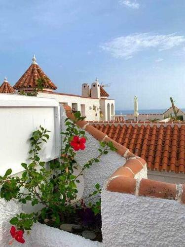 Apartamento Agradable Con Gran Solarium En Mezquitilla