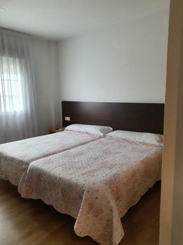 Hostal Pensi�n Pedrouzo