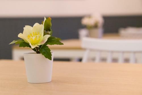 Hostal Pensi�n Ferradura