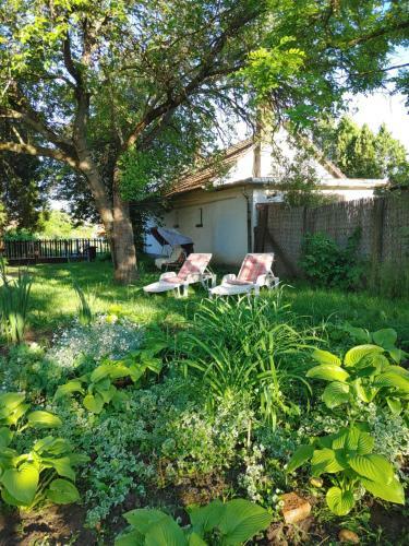 Napsug�r Apartman