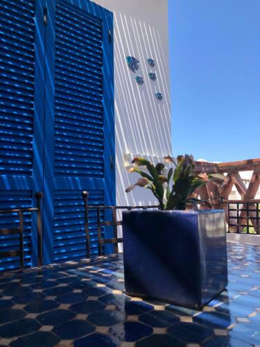 Apartamento Isleta 5
