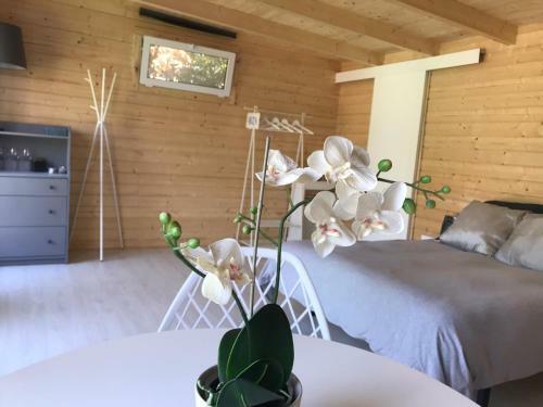 Agroturismo Caba�a Estrella