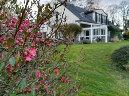 Bed & Breakfast Chambres La Belle Vue