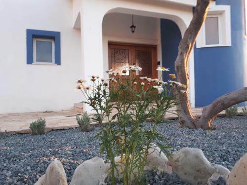 Villa Georgia