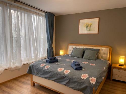 Apartamento G�tes Sax 3