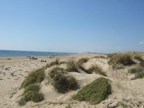 Villa Malyma Zahora - Beach Front 10,000m2 Botanic Garden