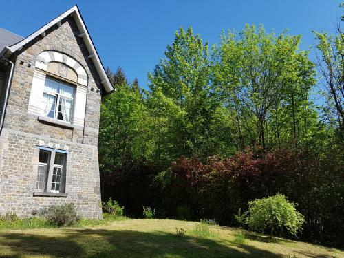 Hostal Panam� Selva Backpacker