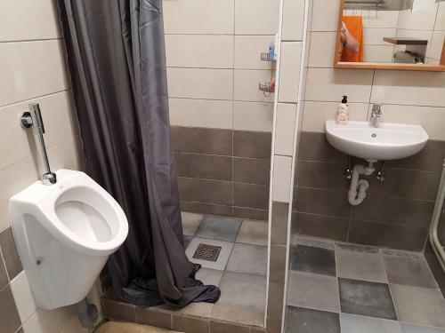 Hostal Panam� Selva Backpacker