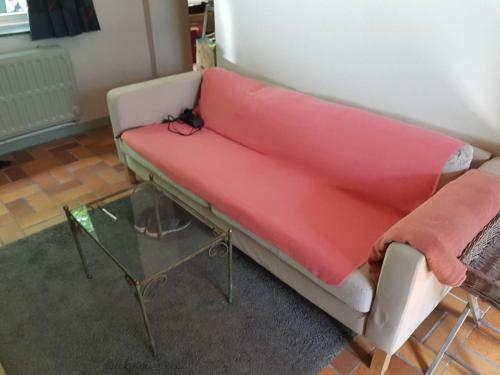 Hostal Panam� Selva Backpacker