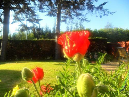 Kidron House Hotel