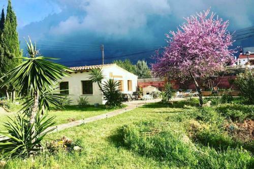 Mi Casita