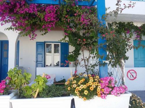 Apartamento Studios Prevena