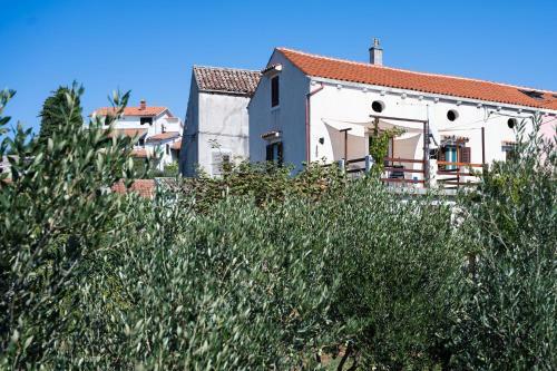 Apartman Corino