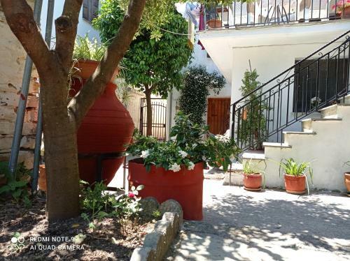 Giola's House Afissos