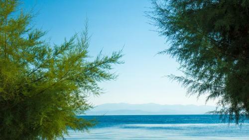 Apartamento Afissos Seaside Studios