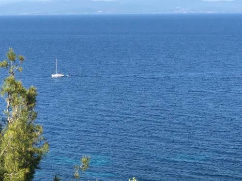 Villa Amazing Place
