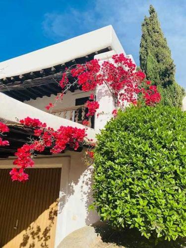Casa Ibicenca