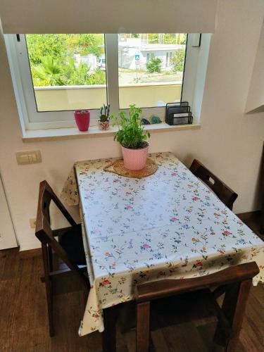 Apartman Luka