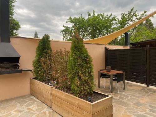 Apartamento Loft Cal Pedrals