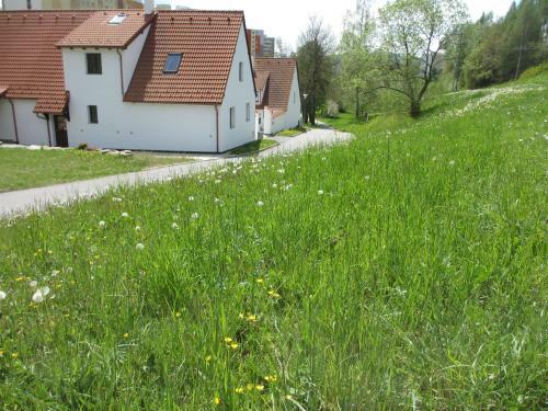 Apartm�ny U Proch�zk?