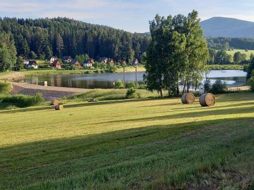Apartm�ny Na Rynku Chvalsiny 18