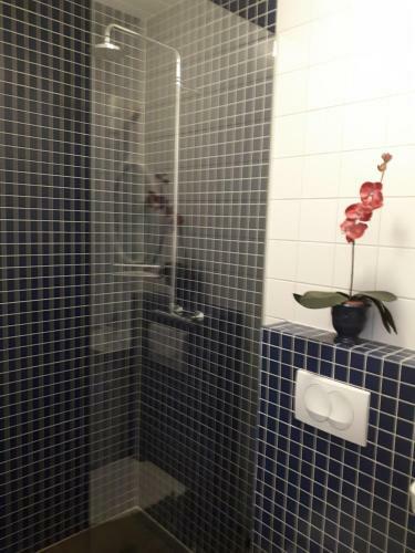 B&B S�lheimar 9