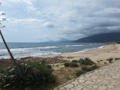 Bed & Breakfast Mansarda Fiorita