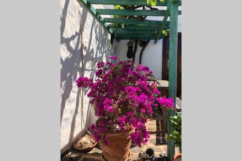 Apartamento Casa Alegria II