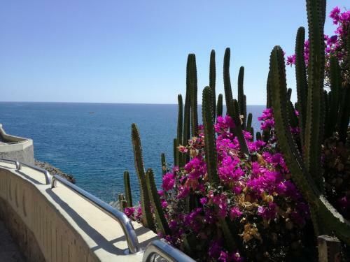 Apartamento Apt With Terrace Facing Amadores Beach