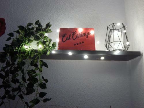 Cal Carinyo, Allotjament Familiar