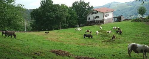 Agroturismo Autxikoborda