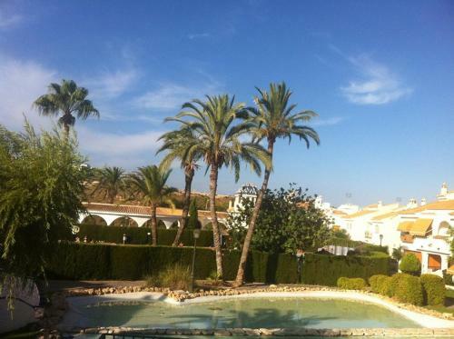 Looking For Paradise