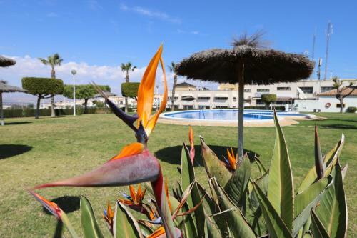 Apartamento 053 - Altomar II 003 - Comfortholidays