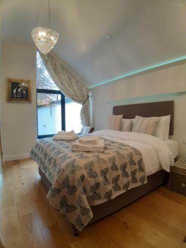 Hostal Tir Y Coed Country House