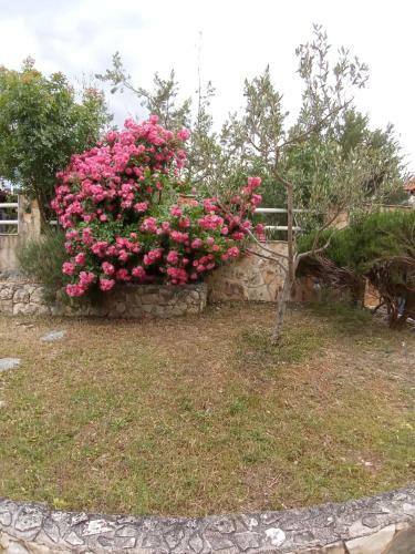 Apartments Villa Brudi
